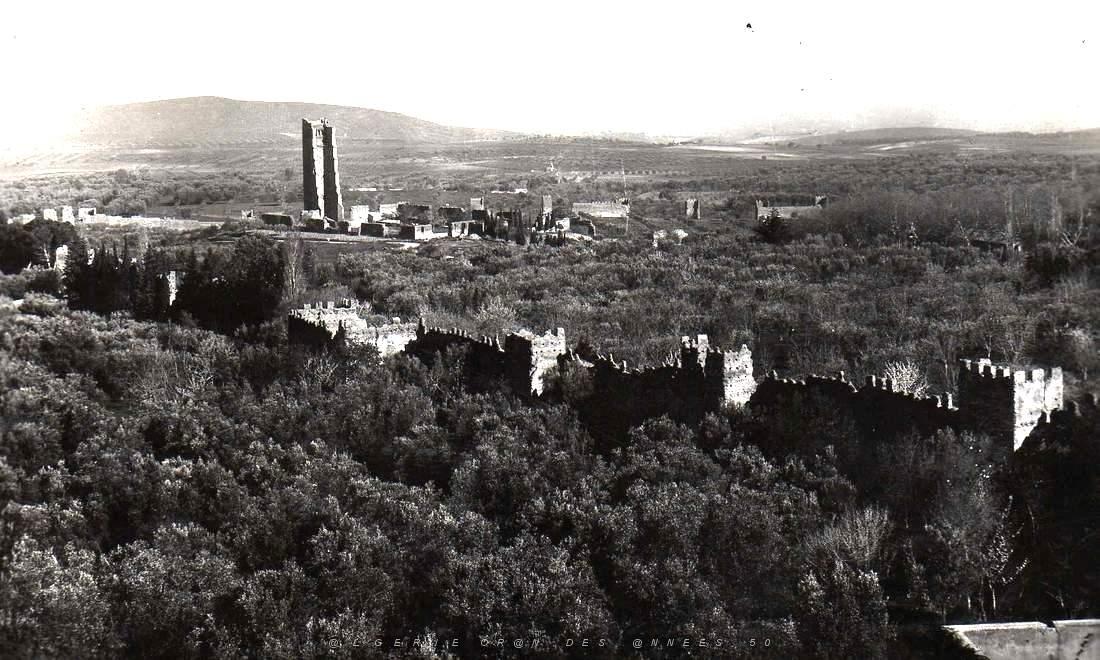 Tlemcen.Mansourah 01.jpg